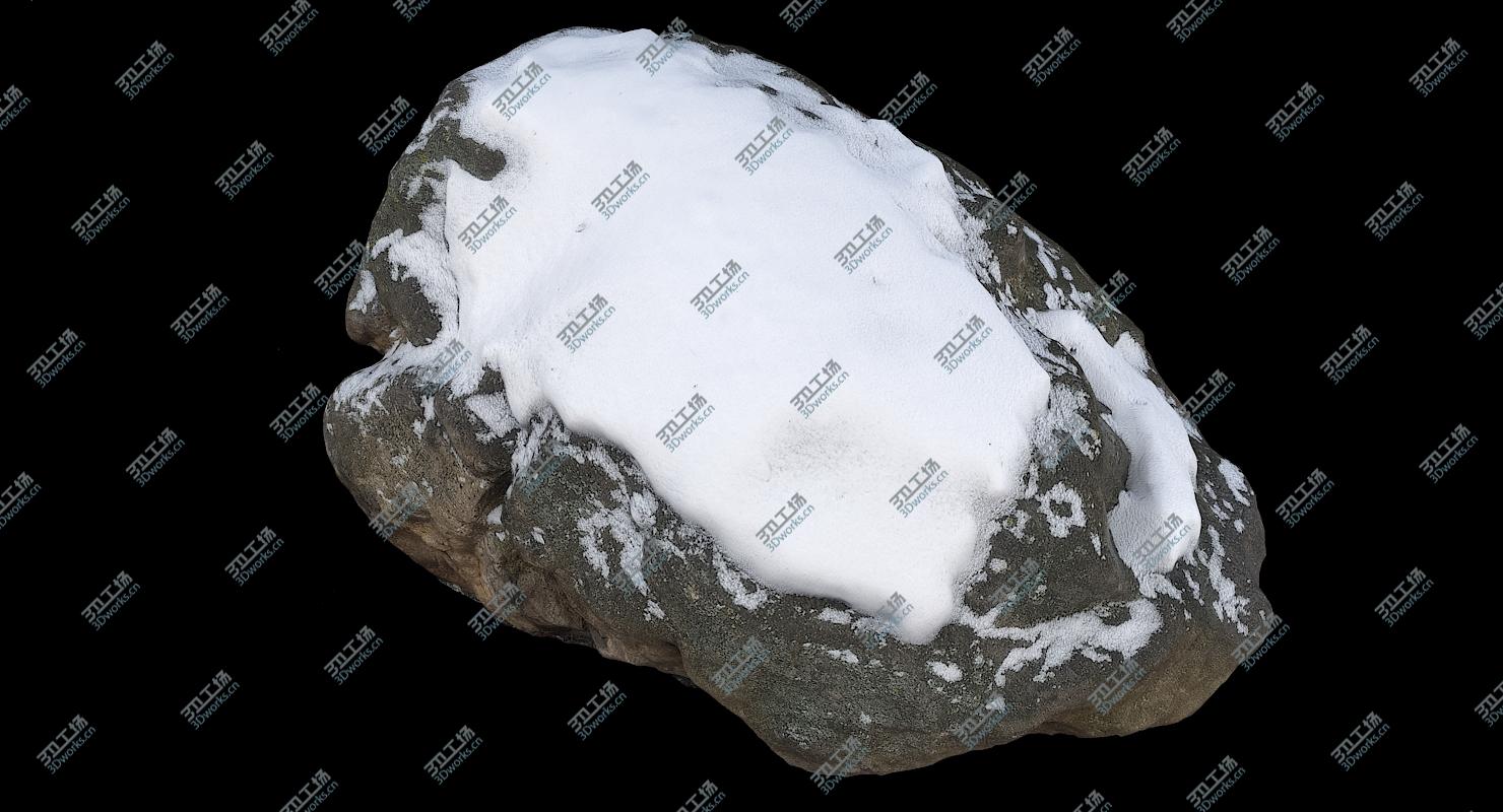 images/goods_img/202105073/Nature Snow Collection 02 3D model/3.jpg